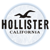 HOLISTER